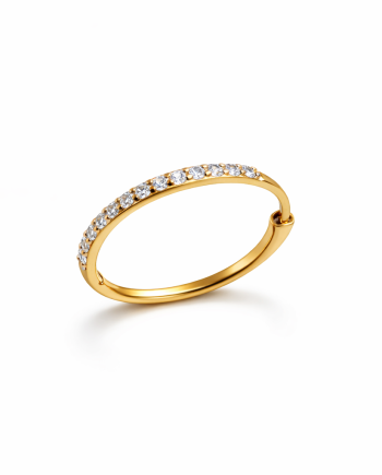 De Aurelia Gradient oorringen - Goud